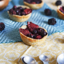 Fruit Tarts7smallerTS copy